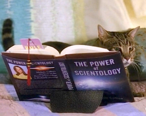 Screen Shot 2013-03-22 at 9.19.53 PM